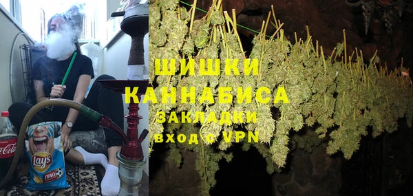 PSILOCYBIN Абаза