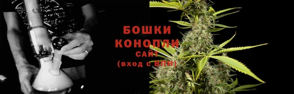 PSILOCYBIN Абаза