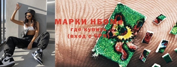 гашик Новокубанск