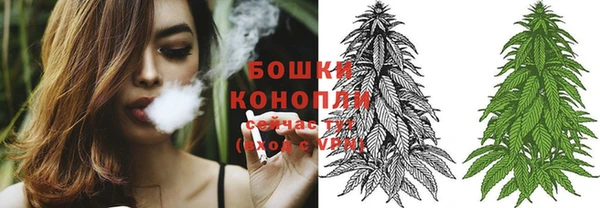 PSILOCYBIN Абаза