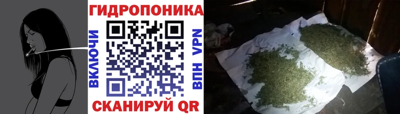 Марихуана сатива Рыльск